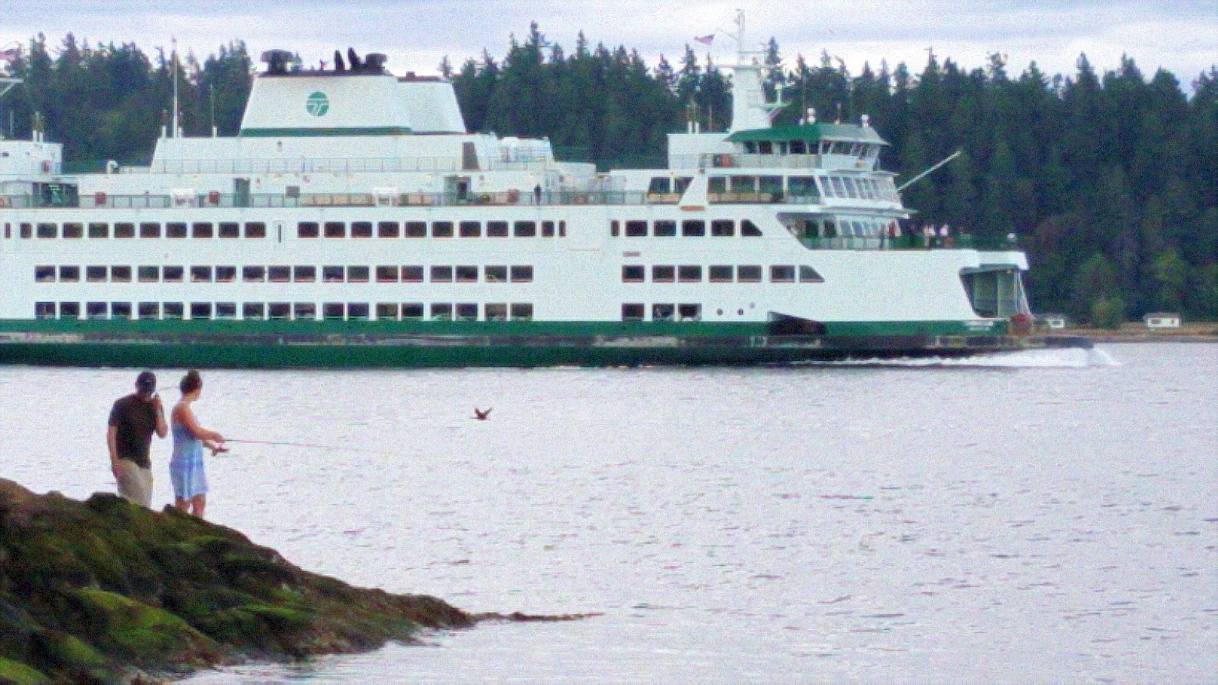 20190824_164711.jpg